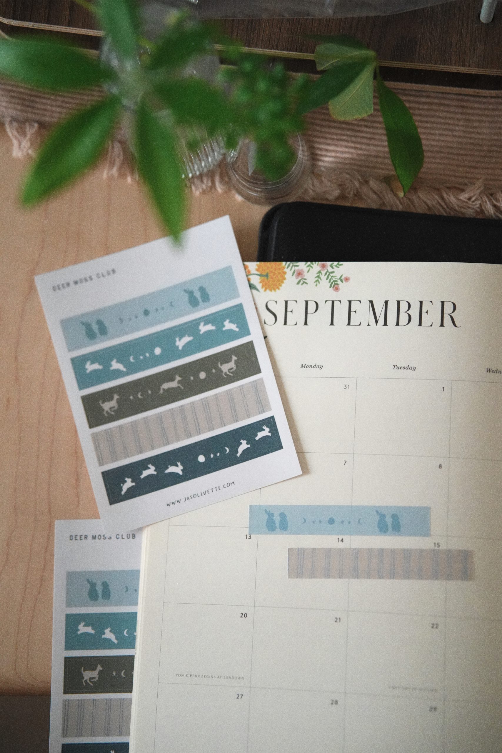 Deer Moss Mail Club No.4 – Exclusive Monthly Snail Mail - Image 6