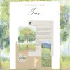 Deer Moss Club June mail kit on a soft green pastel landscape background. A kraft envelope holds a typed letter, a pastel print of sunlit trees, and a bookmark of a wildflower meadow with rabbits. A bunny pair in a blue flower basket sticker and a yellow buttercup sticker sit below.